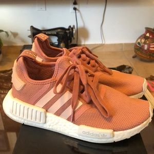 Salmon nmds